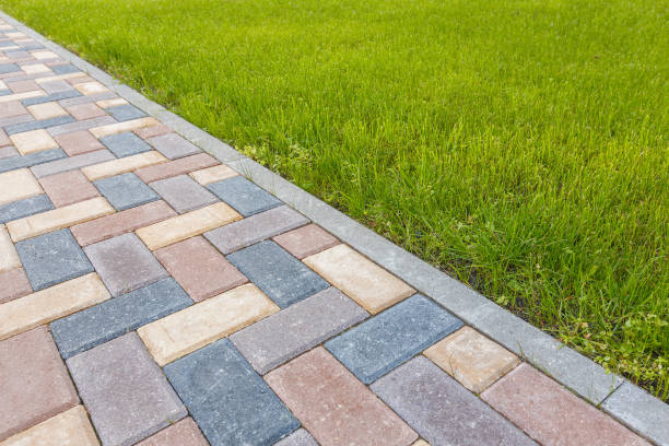 Best Local Driveway Pavers  in Brighton, TN